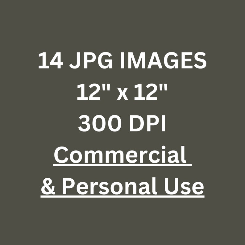 May include: 14 JPG images, each measuring 12 inches by 12 inches at 300 DPI.  These images are for commercial and personal use.