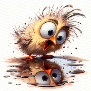 12 pájaros peculiares que se sorprenden al ver su reflejo Clipart / Ilustración divertida de un pájaro / Descarga digital JPG