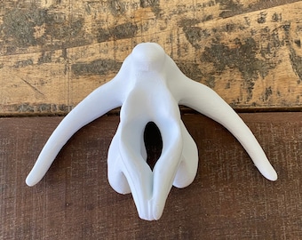 Clitoris Labia Large - Etsy