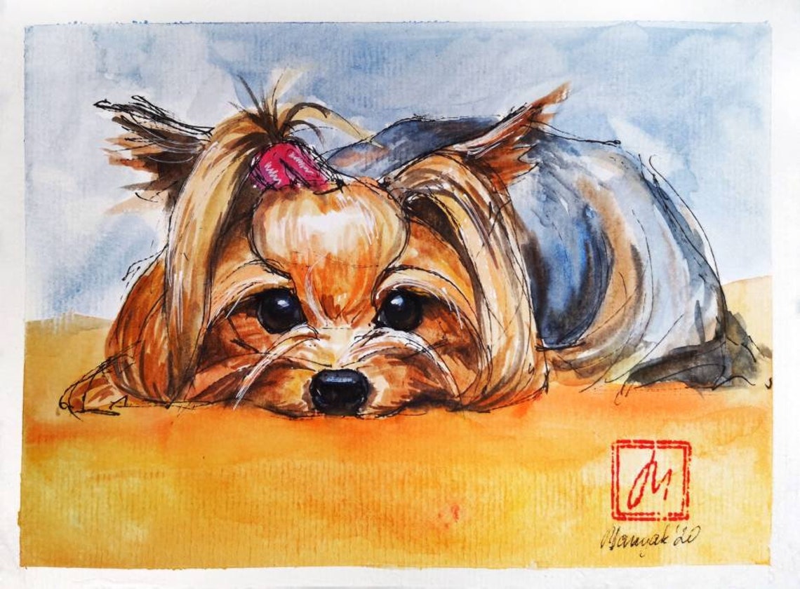 York Aquarell Malerei Aquarell Hund Yorkshire Terrier Etsy