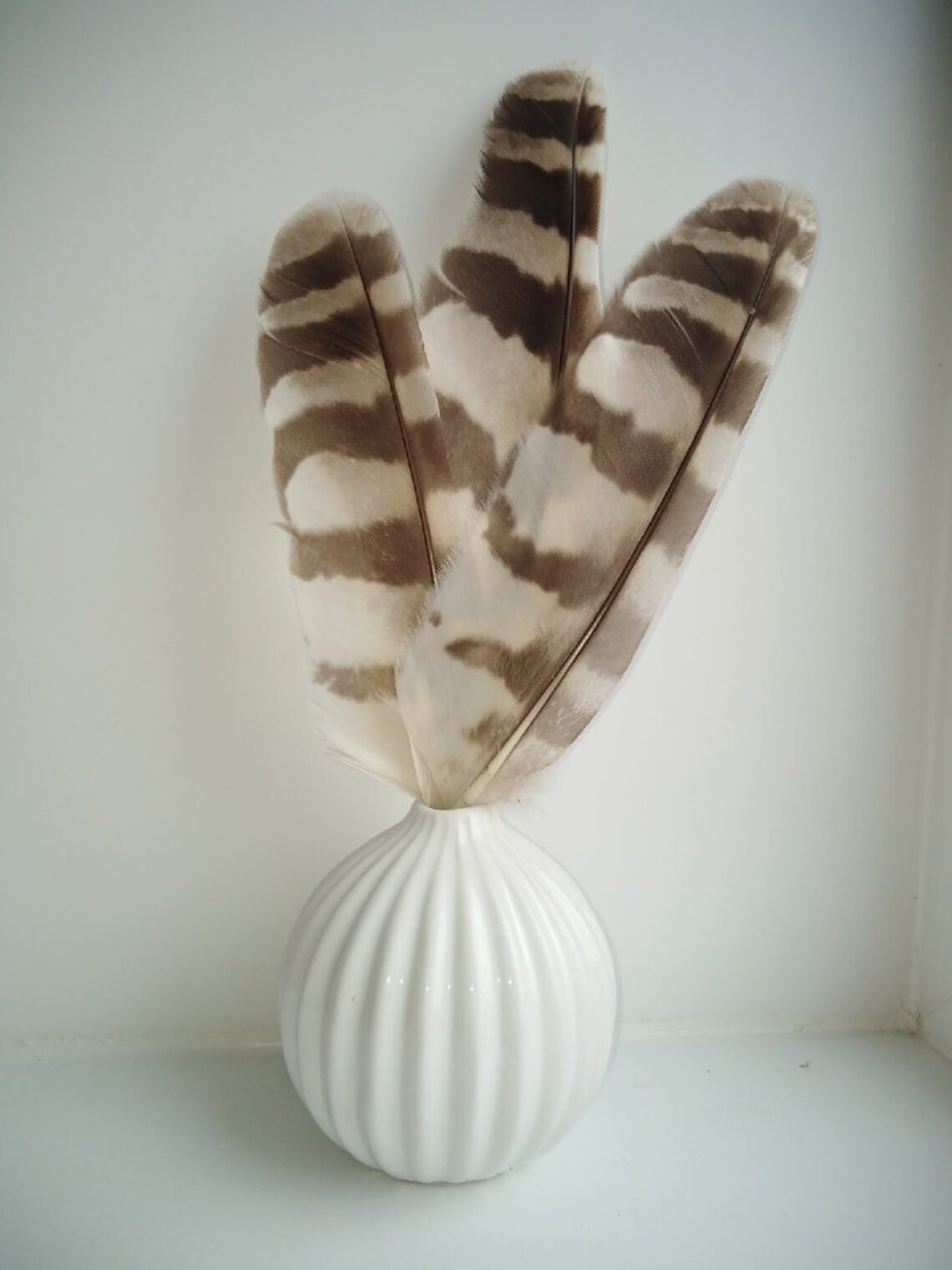 1 pc Ural owl owl feather real owl feathersowl feathers Etsy