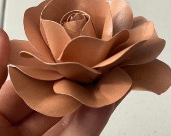 Petite Wallflower Roses: Set of 3