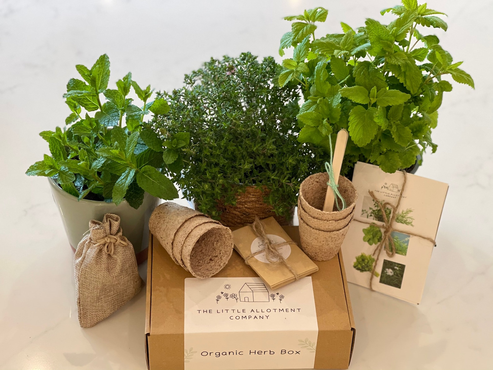 Organic Herb Box Seed Herb Gift Gardening Kit Gift Grow Etsy