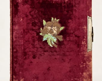 Album fotografico vittoriano antico in velluto, con copertina in peluche color cremisi e bordeaux, ricami di viole del pensiero, chiusura in metallo, rilegatura dorata, libro per cartoline, anni 1890.