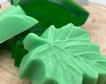 Handmade Leaf Soap Set, Gardeners gift, nature lover gift, Gifts for him, gifts for her- Set of 5, Vegan gift, plastic free gift