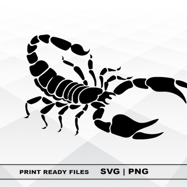 Animal Scorpion SVG and PNG Files Clipart, Scorpion Print SVG, Digital Download Cricut Cut Files, Scorpion Silhouette Cut Files