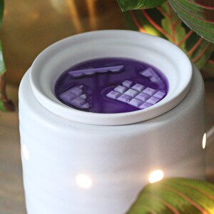 Summer holiday memories wax melts Summer holiday memories wax melts