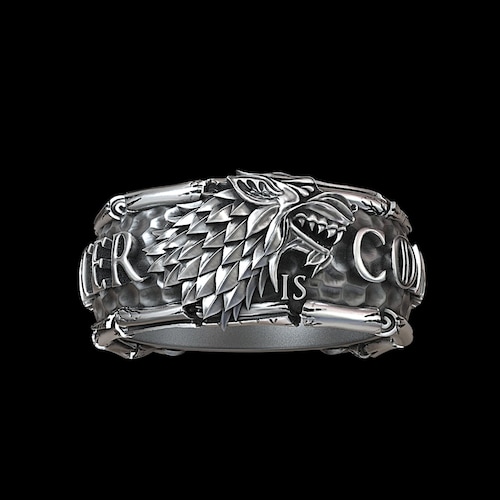Aegon Targaryen, Wolf Winter Is shops Coming Jon Snow Fan, Game of Thrones Ring, Handmade Silver Unisex Ring, Wolf Ring, Gift Jewelery