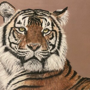 Tiger Print - Unmounted (A3)