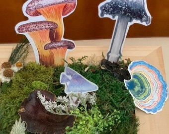 Mushroom Sticker Set