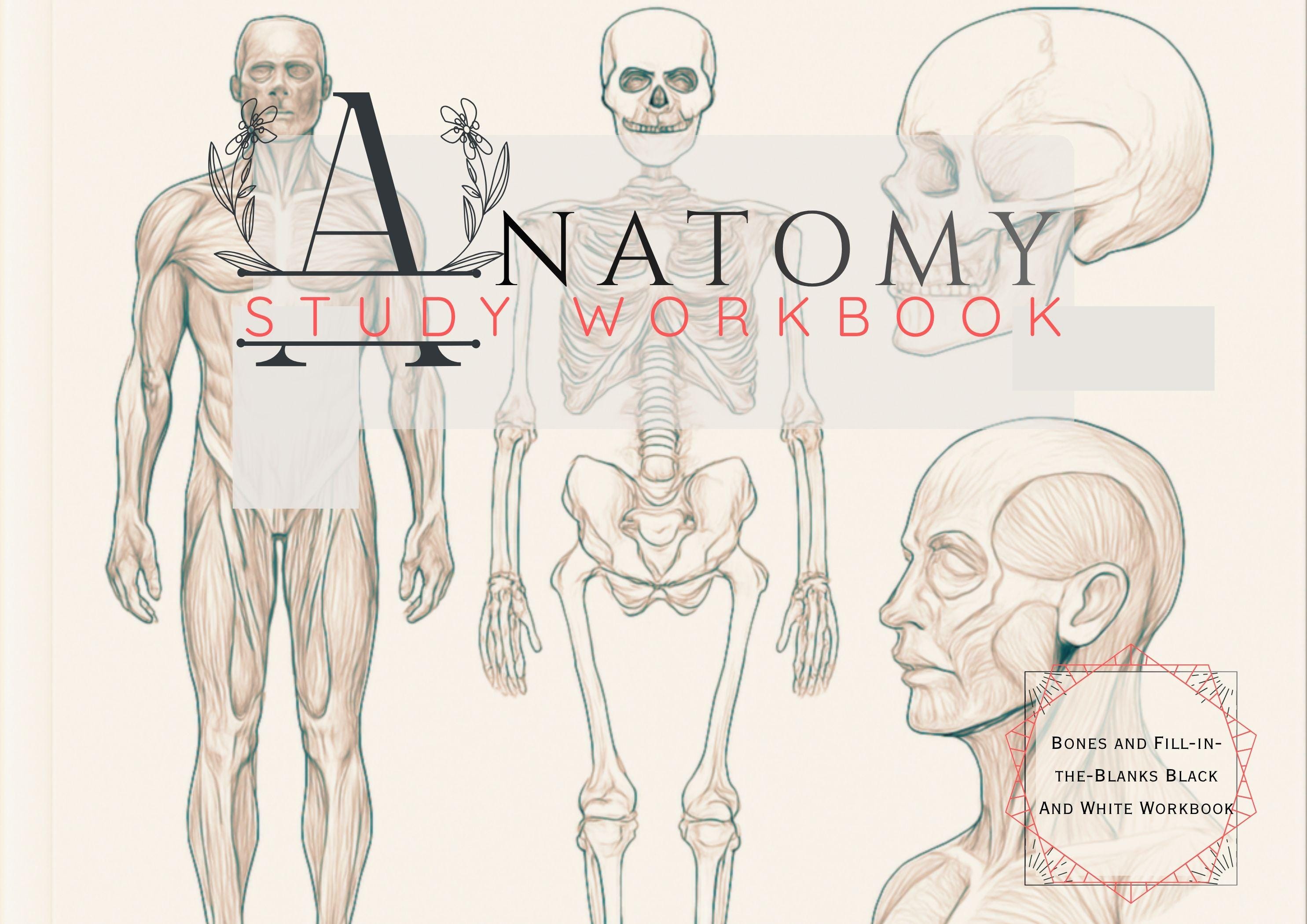 Anatomy Workbook | Learning Guide | Fill in the Blanks (digital Ebook) - Etsy