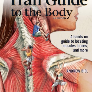 Può includere: La copertina di "Trail Guide to the Body, 6th Edition" presenta un'illustrazione anatomica dettagliata con figure che si arrampicano sul corpo. Il titolo del libro è in lettere grandi e in grassetto. La copertina include anche il nome dell'autore e un tagline.