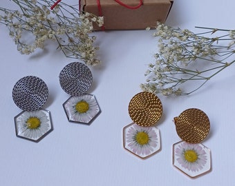 Daisy earrings, hexagon earrings with natural flower, long round earrings with wildflower, gold and silver daisy earrings, original gift