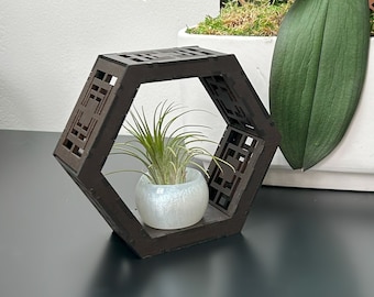 Air Plant Holder SVG Wooden plant holder Hexagon decor Wall mount Air Plant holder Desktop plant stand