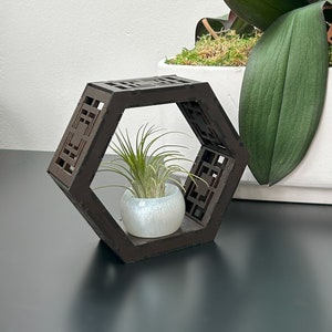 Luftpflanzenhalter SVG Holzpflanzenhalter Hexagondekor Wandhalterung Luftpflanzenhalter Desktop Pflanzenständer