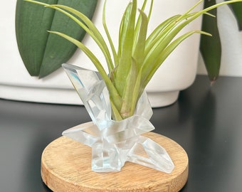 Soporte de planta de aire Jarrón inspirado en cristal Cristal como regalo de planta de aire Diseño de cristal claro Soporte de planta decoración de jardín de regalo de cocina