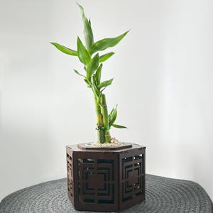 Blumenampel aus Holz, Hexagon, Blumentopf / Wandbehang