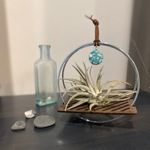 Air Plant Hanger Boho Plant Decor Hanging Air Plant Minimalist Plant Hanger Hanging Plant Holder Indoor Plant Shelf Air Plant Holder