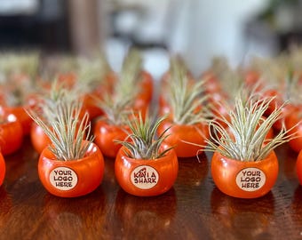 Soporte para plantas de aire con logotipo personalizado. Jarrón colorido con tu diseño o logotipo.