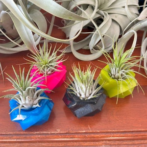 Air Plant Holder Colorful Air Plant Crystalline shape Tillandsia Decor House Gift Desk Accessory plant holder Air Plant gift