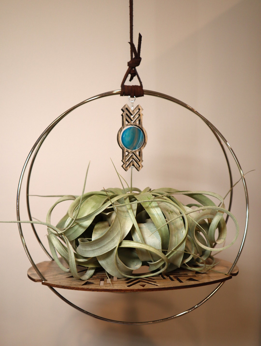 Large Xerographica Air Plant Hanger Boho Plant Decor Hanging Etsy