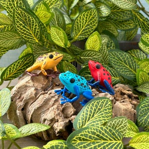 Cute Poison Dart Frog figurine Frog figurine animal decor frog gift frog lover figurine