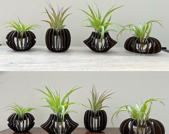 Porta plantas de aire de madera, regalo minimalista para amantes de las plantas de aire, diseño bohemio de madera cortada con láser, decoración de escritorio