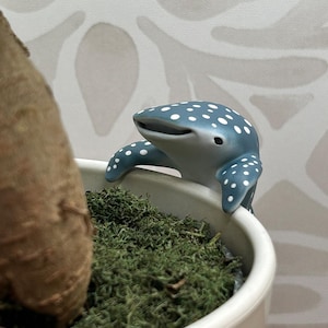 May include: A small, blue whale shark figurine with white spots perched on the rim of a white planter. The shark has a wide, flat head, dark eyes, and pectoral fins draped over the edge of the container, which is filled with green moss.