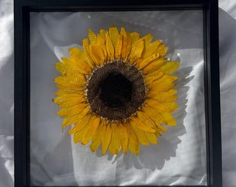 Sunflower Pressed Flower Frame | Wall Decor | Preserved Sunflower | Pressed Flower Art | Sunflower Keepsake | Real Sunflower