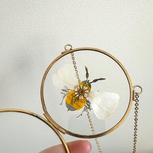 May include: A framed pressed flower art piece featuring a bee with white wings and a yellow body. The bee is encased in a round, gold-colored metal frame with a glass front, suspended by a delicate chain.