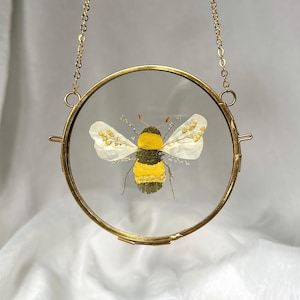 Abejorro botánico / Marco de flores prensadas / Insecto botánico / Decoración de pared /
