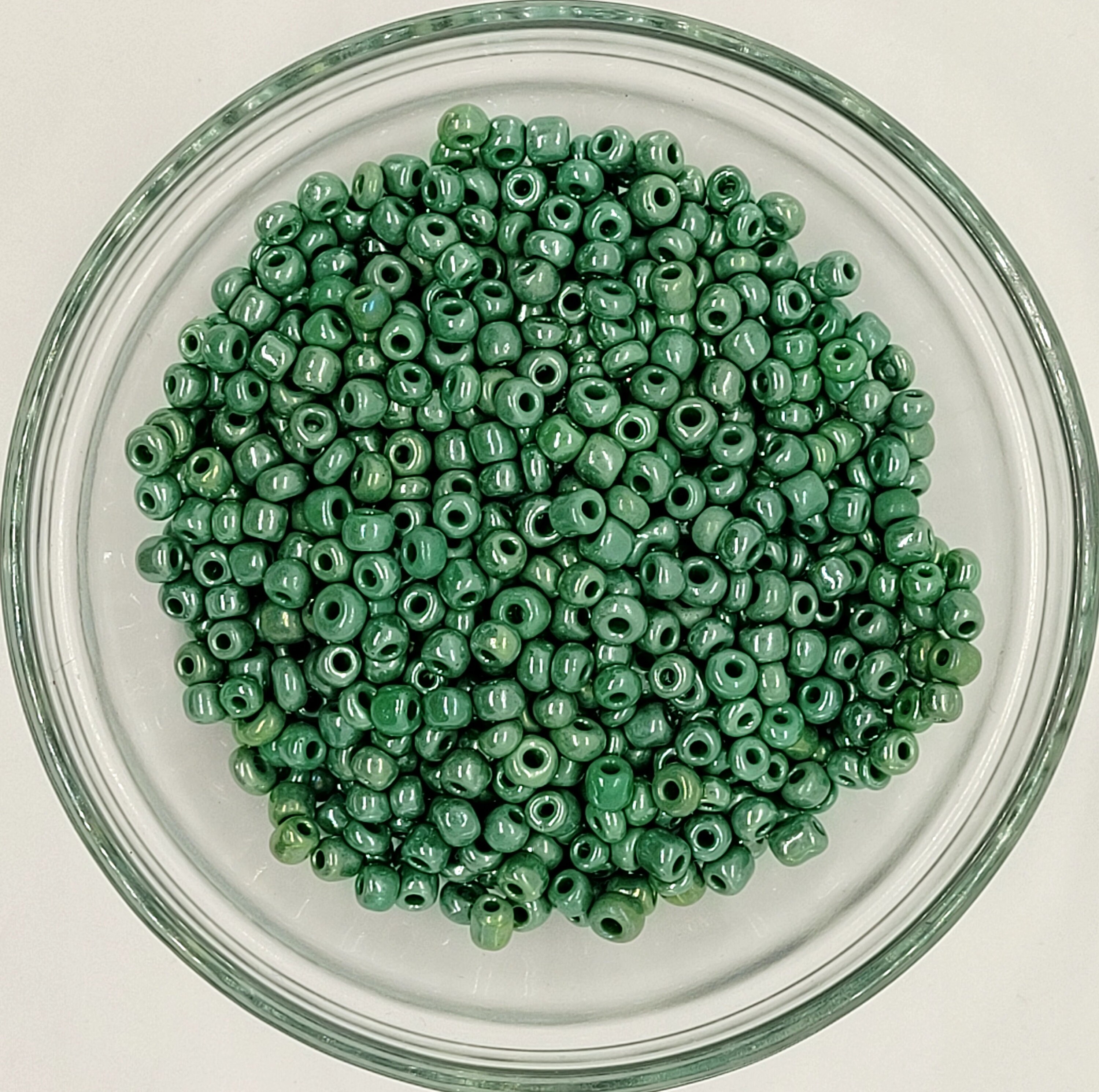 Amethyst Waist Bead Kit Includes String, Needle, Crystals and 40g Package of Beads DIY Waist