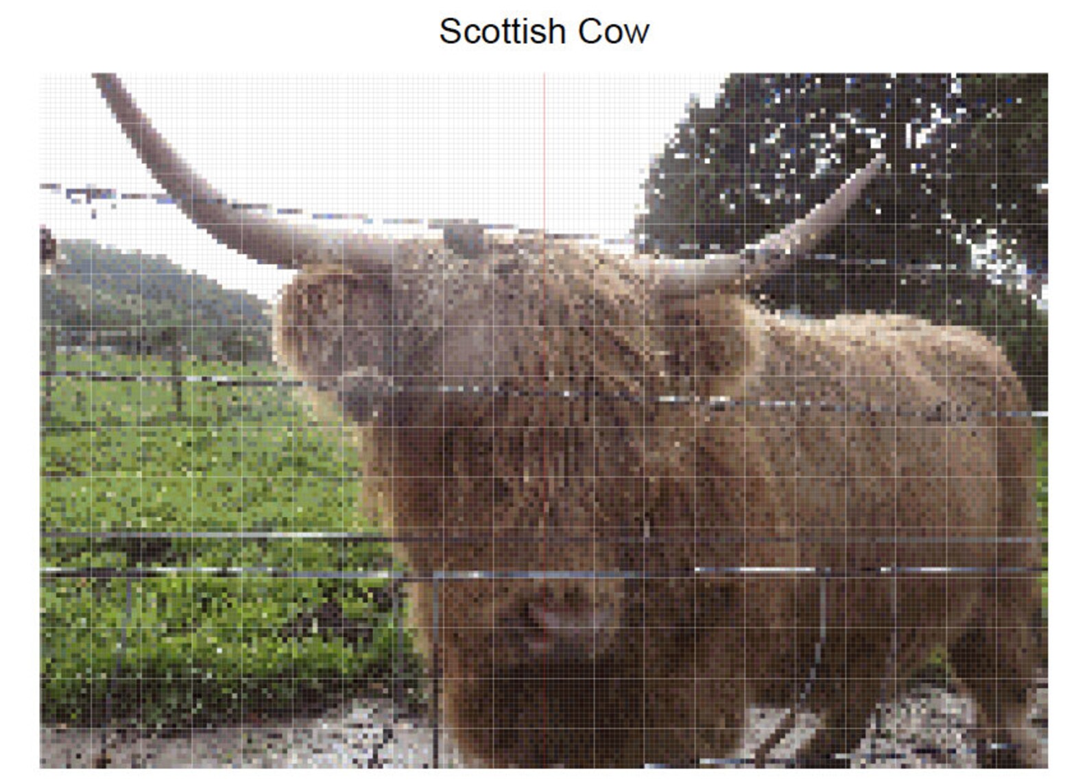 Highland Cow Scotland Cross Stitch Pattern | Etsy