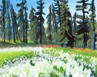 Meadow at Navaho Pass