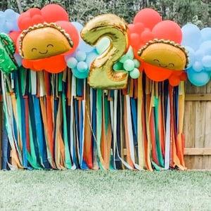 Fringe Backdrop | Taco Theme | Fiesta | Boy Birthday | Crayon Theme | Fringe Decorations | Party Decor | Birthday | Streamers | Customizable