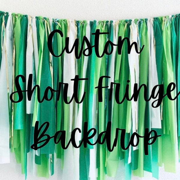 Create Your Own Custom Fringe Backdrop | Fringe Backdrop | Birthday Party | Photo Backdrop | Holiday Backdrop | Baby Shower | Bachelorette