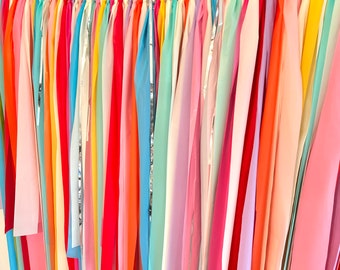 Fringe Backdrop | Birthday Party Backdrop | Rainbow | Fiesta | Circus | My Little Pony | Bachelorette | Photo Booth | Streamers