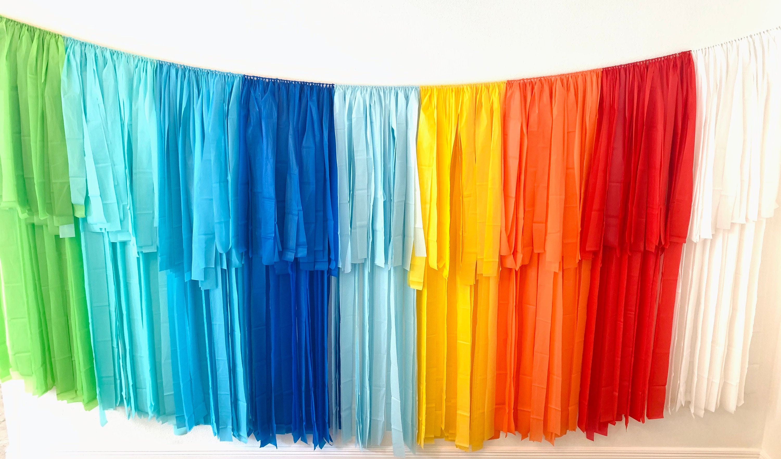 Fringe Backdrop Fiesta Backdrop Fringe Decorations Party Etsy