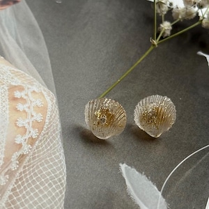 Elegant shell earrings / simple design / golden shells