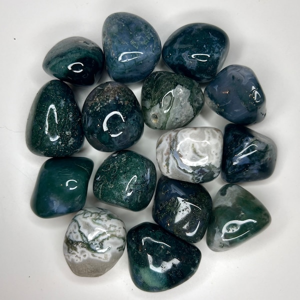 Moss Agate Premium Tumbles / Two Sizes / High Polished Tumbled Crystals