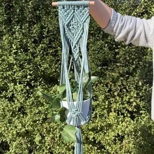 May include: A sage green macrame plant hanger featuring intricate knotted patterns suspended from a horizontal wooden dowel. The hanger holds a small white pot containing a green leafy plant, with a long knotted tail extending from the base.