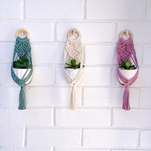 Mini Macrame Plant Hanger and Planter Set – Wall Hanging Decor for Plants and Pots – Boho Macrame Hanger for Indoor Greenery ~  7 Colours