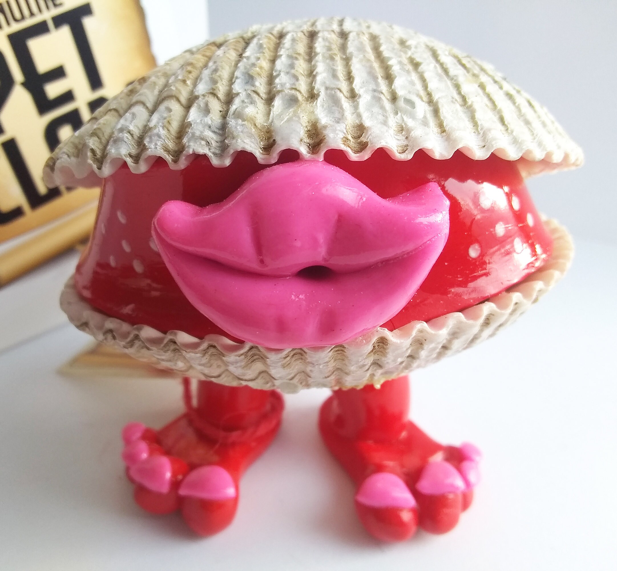 Genuine Pet Clam Shells from the Salish Sea Special Etsy