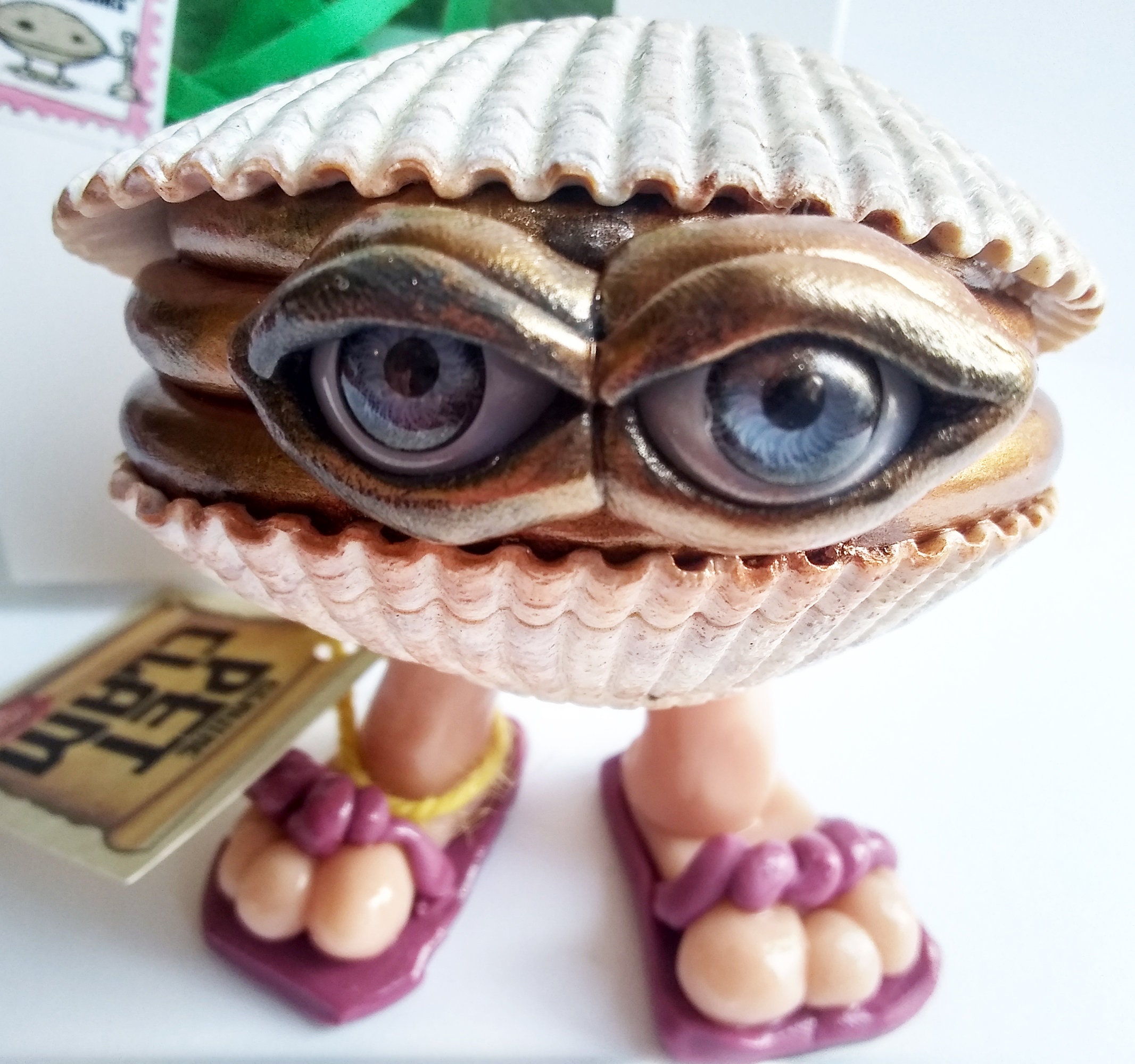 Genuine Pet Clam Shells of the Salish Sea Precious Metals Etsy