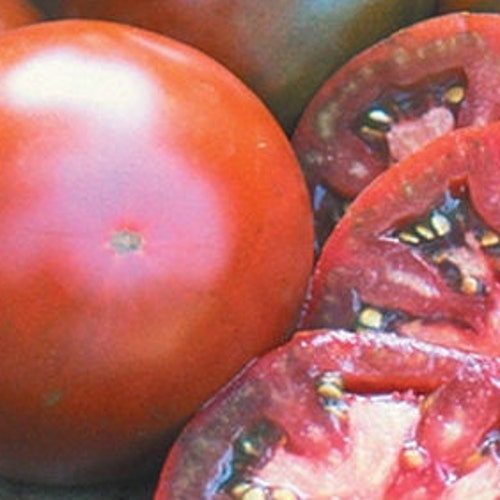 Black Truffle Tomatoes Seeds Etsy