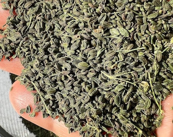 Perennial  20 Skirret seeds  Zones 4-9 Organic (seeds need cold to germinate . Seeds best germinate in winter sowing outside in fall.