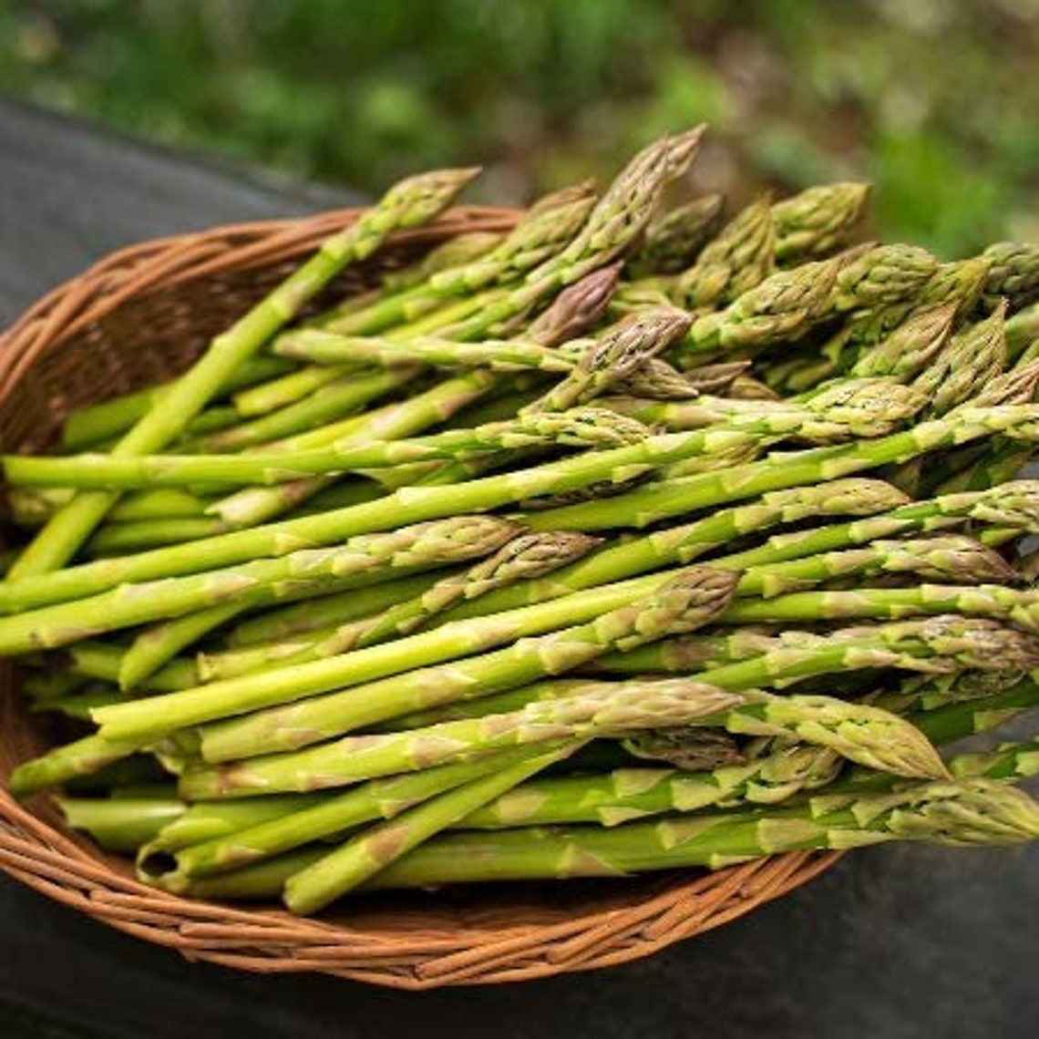 200UC 157 F2 Asparagus Seeds Etsy