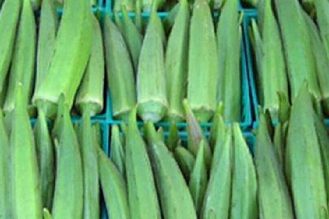 50 Emerald Okra Seeds Etsy