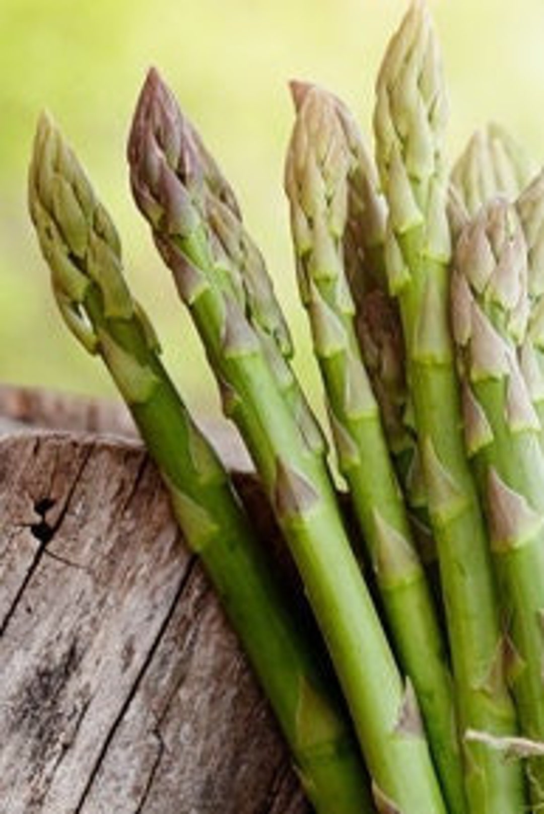 100UC 157 F2 Asparagus Seeds Etsy