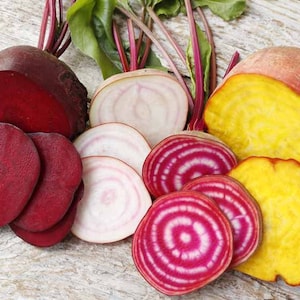 500+ Rainbow beet *142